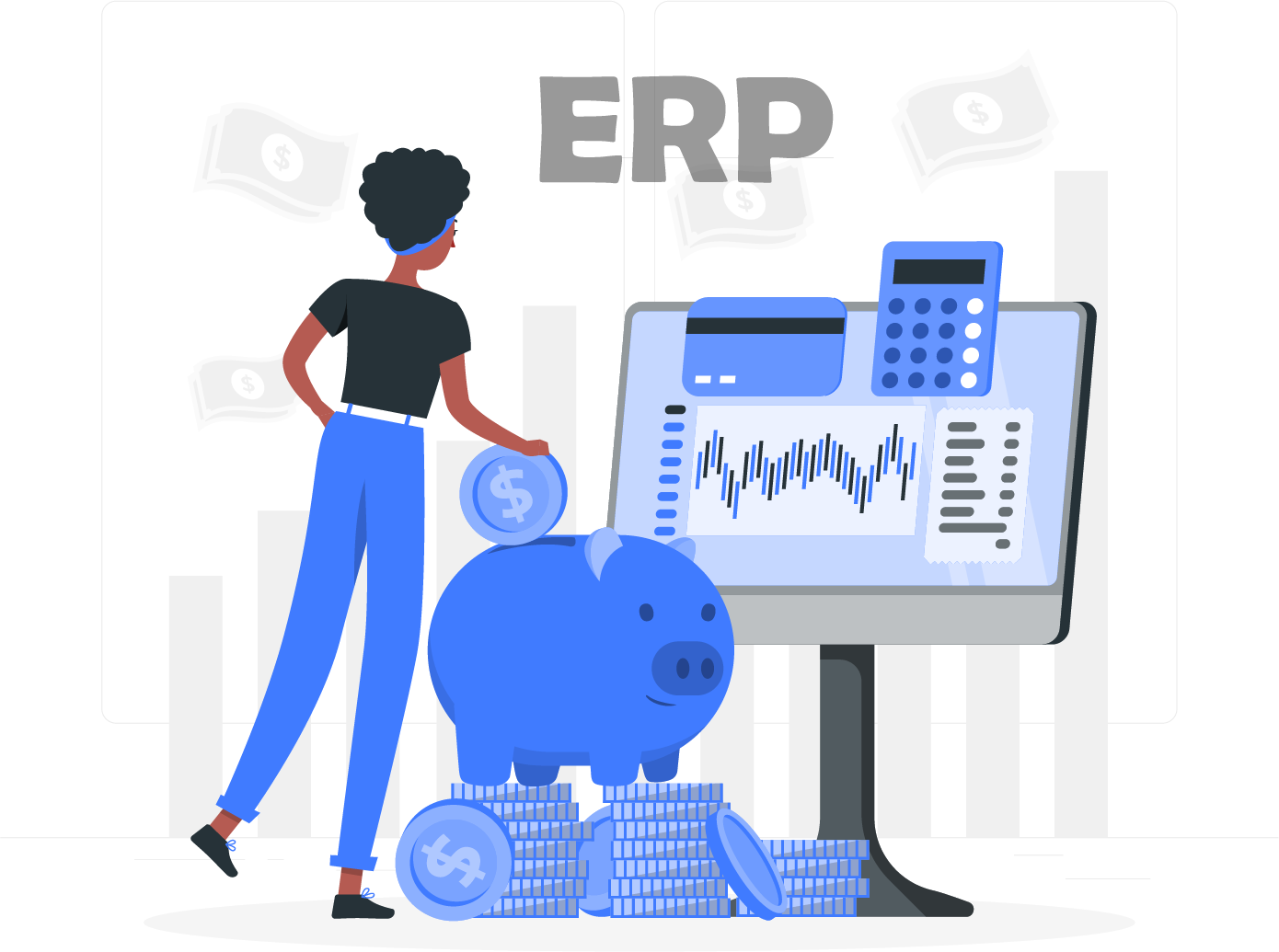 نرم افزار erp